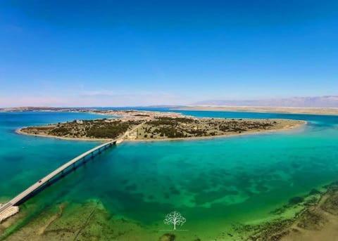 Villa Skalinada Vir Esterno foto